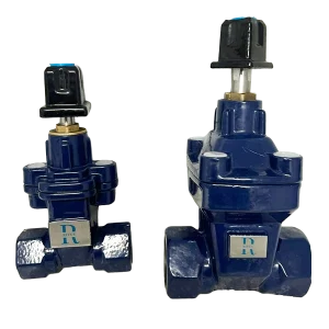 Service connection valve